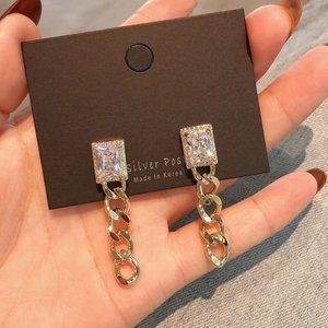 Chain Long Metal Earrings (1)